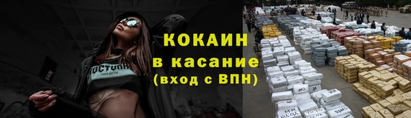 ECSTASY Алзамай