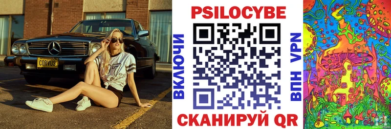 Псилоцибиновые грибы Cubensis  купить закладку  kraken   Духовщина 